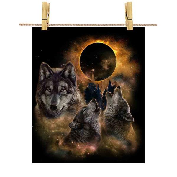 |X^[ A1   IIJ~ T X by Fox Republic