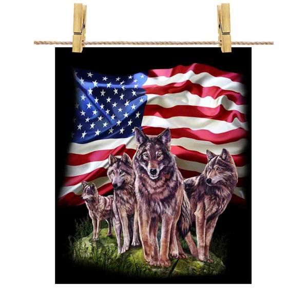 |X^[ A1 IIJ~    T AJ by Fox Republic