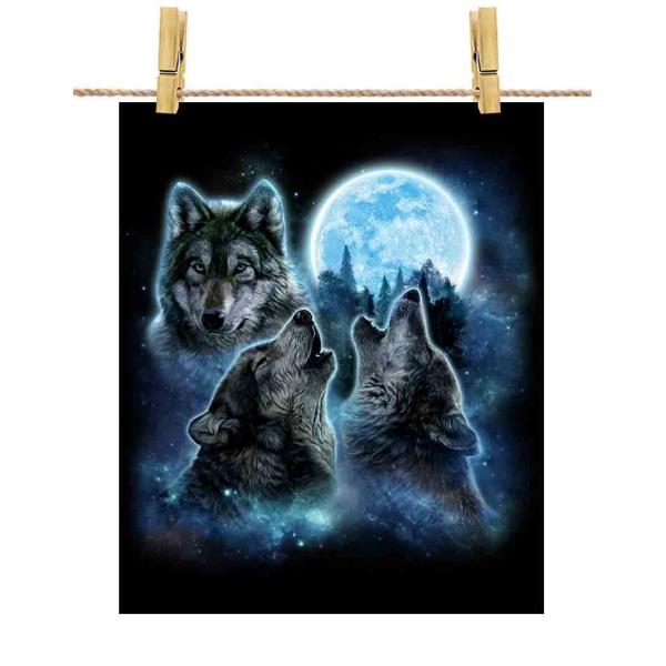 |X^[ A1   IIJ~ T by Fox Republic