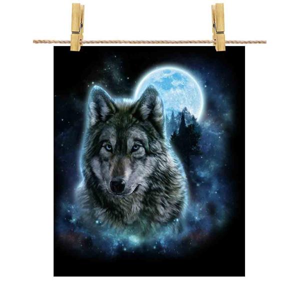 |X^[ A1   IIJ~ T X by Fox Republic