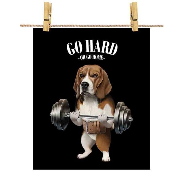 foxrepublic_poster-a2-beagle-set4