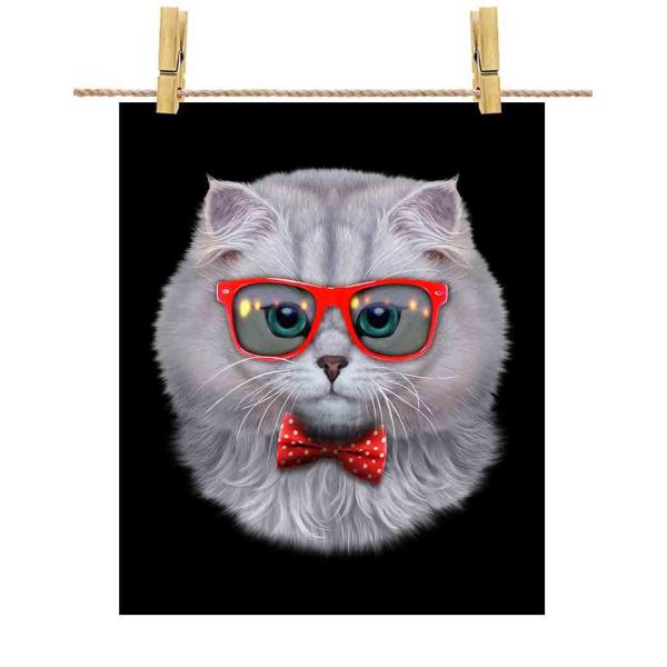 yyVL ˂ lN^C TOXz|X^[@A2TCY by Fox Republic