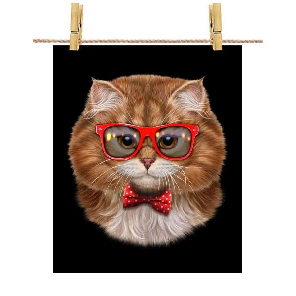 yOєL IW ˂ lN^C TOXz|X^[@A2TCY by Fox Republic