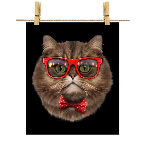 yyVL ˂ lN^C TOXz|X^[@A2TCY by Fox Republic