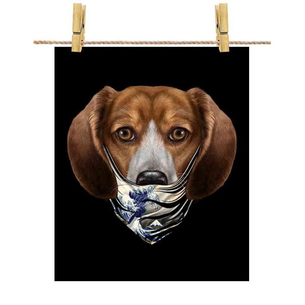 yr[O hbO   G o_iz|X^[@A2TCY by Fox Republic