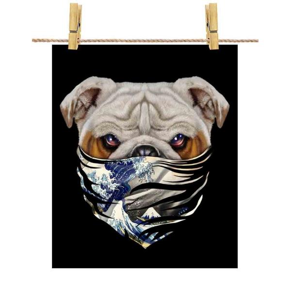 y{ uhbO hbO   G o_iz|X^[@A2TCY by Fox Republic