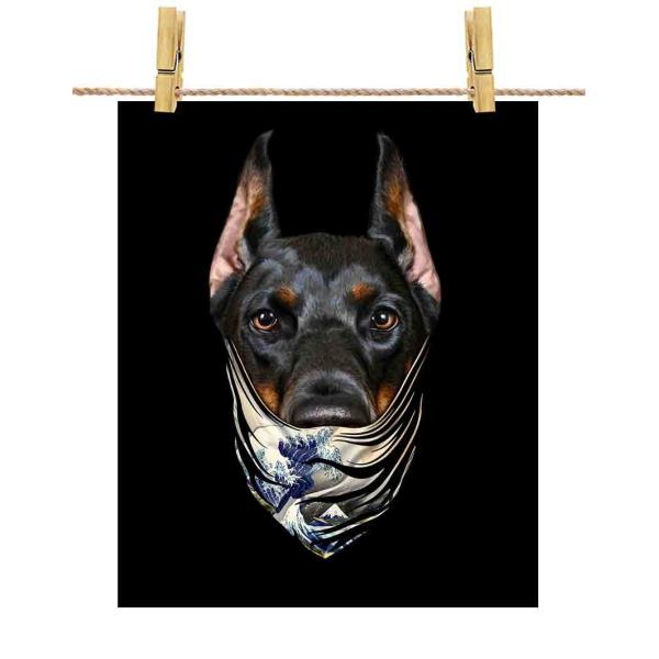 yh[x} hbO   G o_iz|X^[@A2TCY by Fox Republic