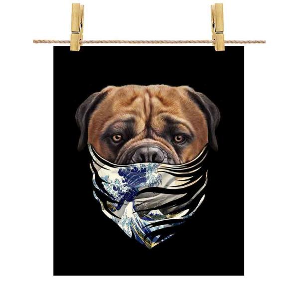 yu}XeBt hbO   G o_iz|X^[@A2TCY by Fox Republic