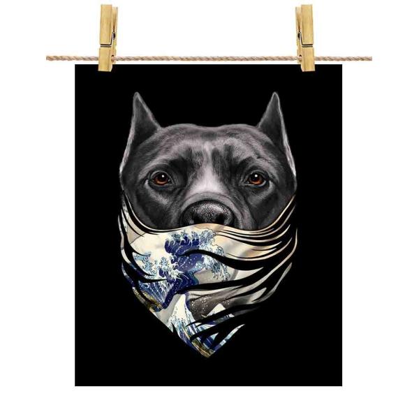 yт̃AJsbgu hbO   G o_iz|X^[@A2TCY by Fox Republic