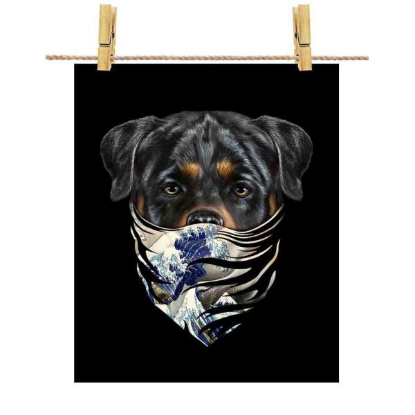 ybgC[ hbO   G o_iz|X^[@A2TCY by Fox Republic