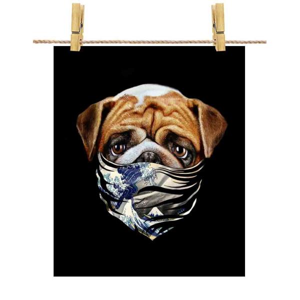 yCObV uhbO hbO   G o_iz|X^[@A2TCY by Fox Republic