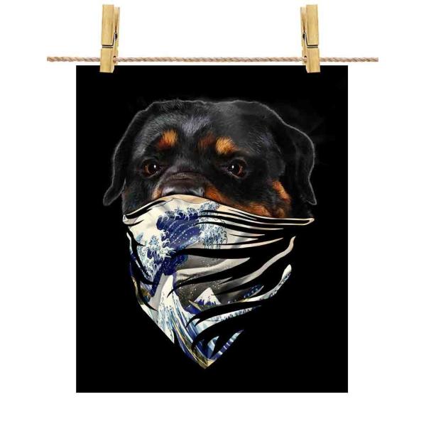 ybgC[ hbO   G o_iz|X^[@A2TCY by Fox Republic