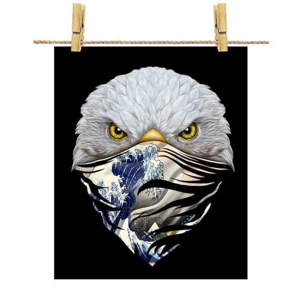 |X^[ A2 hEV G o_i by Fox Republic