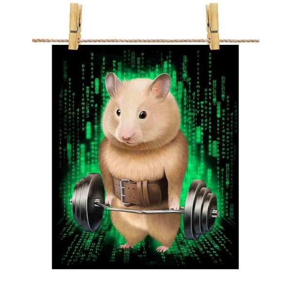 ウエイトリフティング ジムの人気商品 通販 価格比較 価格 Com