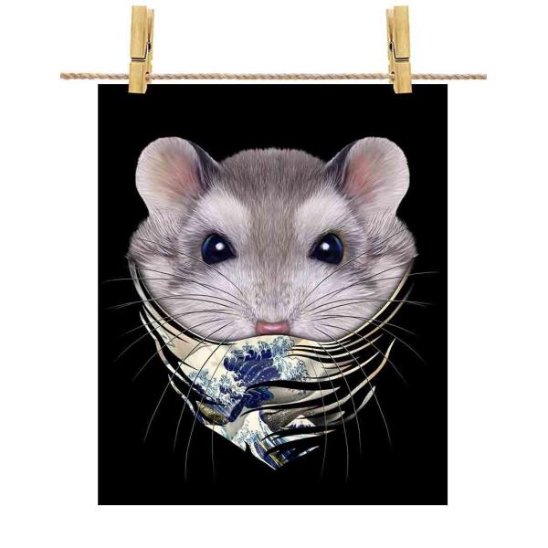 |X^[ A2 u[Tt@CAEnX^[ G o_i by Fox Republic