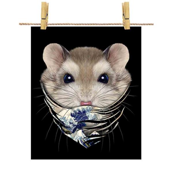 |X^[ A2 AO[`EnX^[ G o_i by Fox Republic