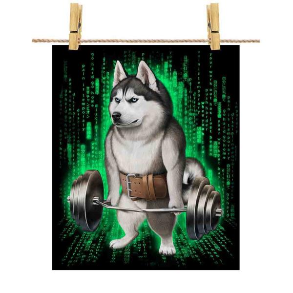 |X^[ A2 VxAnXL[   ؃g ؓ EGCgteBO W TCo[ by Fox Republic