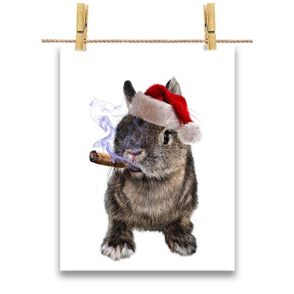 |X^[ A2  e  T^N[X NX}X  by Fox Republic