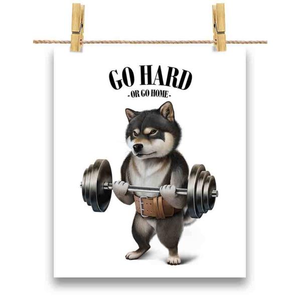 |X^[ A2 Č ΂ ؃g ؓ EGCgteBO W by Fox Republic