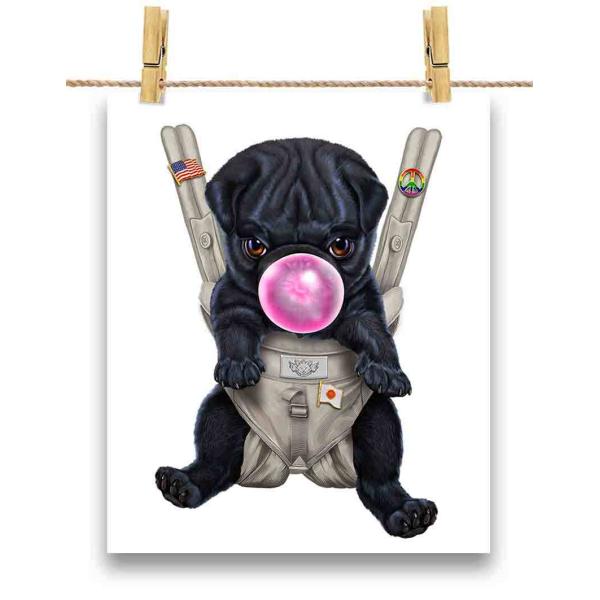 |X^[ A2  pO     R K by Fox Republic