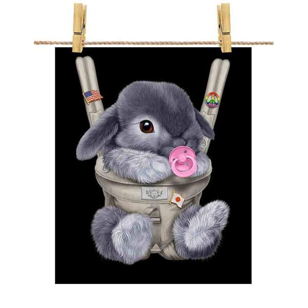 |X^[ A2 O[ e   R Ԃ by Fox Republic