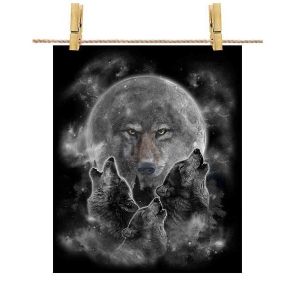 |X^[ A2   IIJ~ T X by Fox Republic