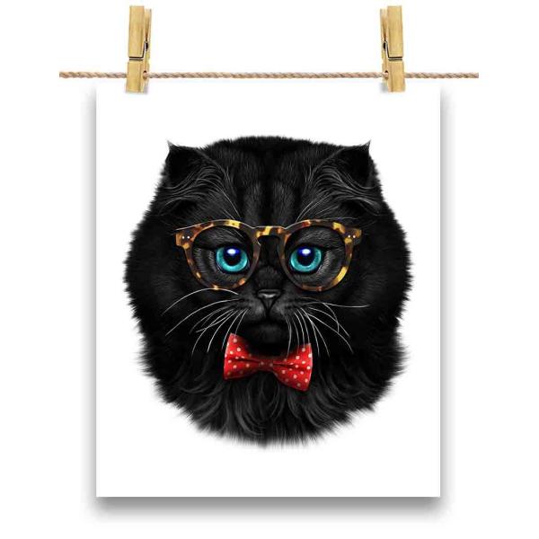 yL ˂ lN^Cz|X^[@A3TCY by Fox Republic