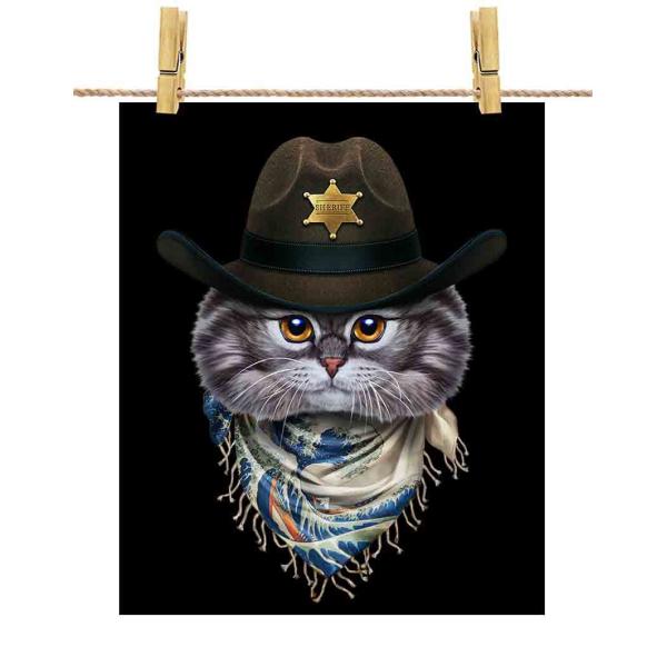 yO[ L ˂ JE{[C { G o_iz|X^[@A3TCY by Fox Republic