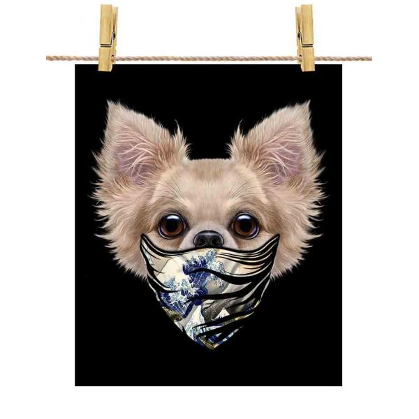 y` hbO   G o_iz|X^[@A3TCY by Fox Republic