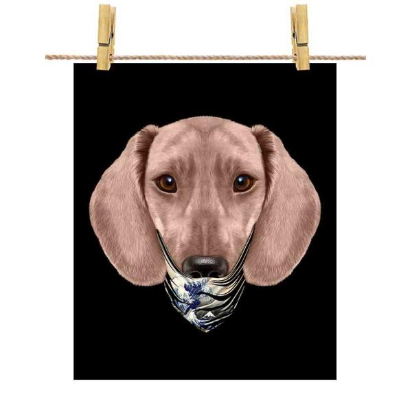 yN[F _bNXth hbO   G o_iz|X^[@A3TCY by Fox Republic