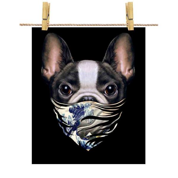 y킢 t`uhbO hbO   G o_iz|X^[@A3TCY by Fox Republic