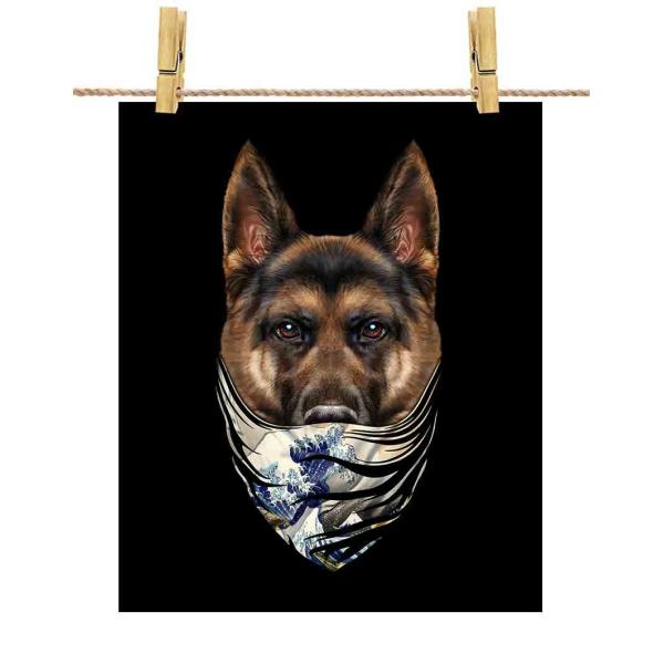 yW[}VFp[h hbO   G o_iz|X^[@A3TCY by Fox Republic