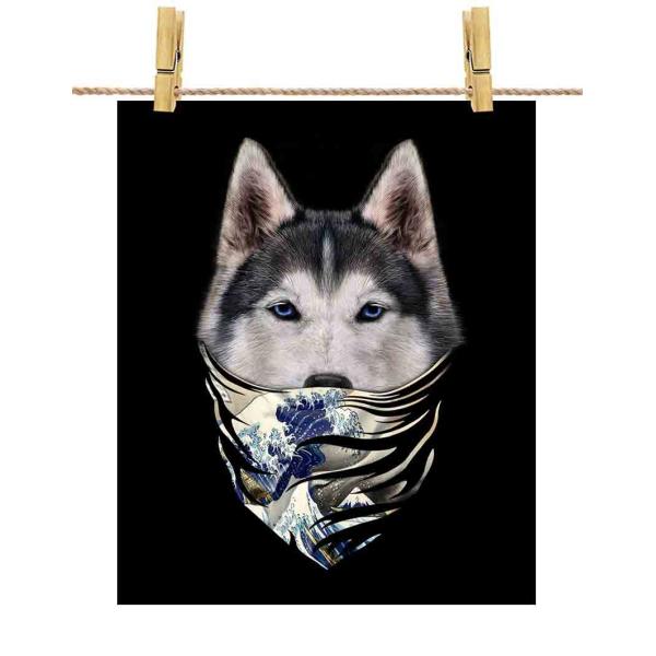 yVxAnXL[ hbO   G o_iz|X^[@A3TCY by Fox Republic