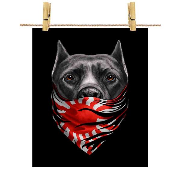 TigerDog ピッドブル TigerDog ピッドブル Tiger Stripe Pitbulls – The Ultimate