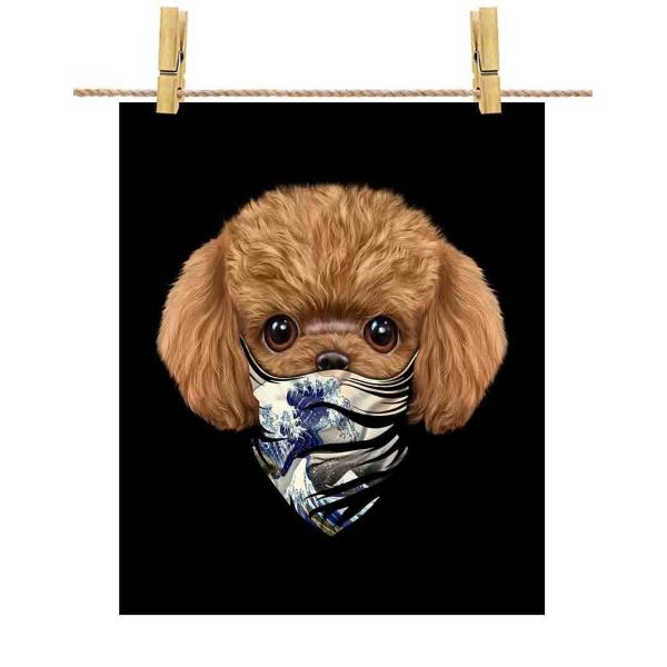 y v[h hbO   G o_iz|X^[@A3TCY by Fox Republic