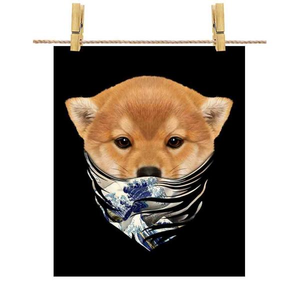 ye Č hbO   G o_iz|X^[@A3TCY by Fox Republic