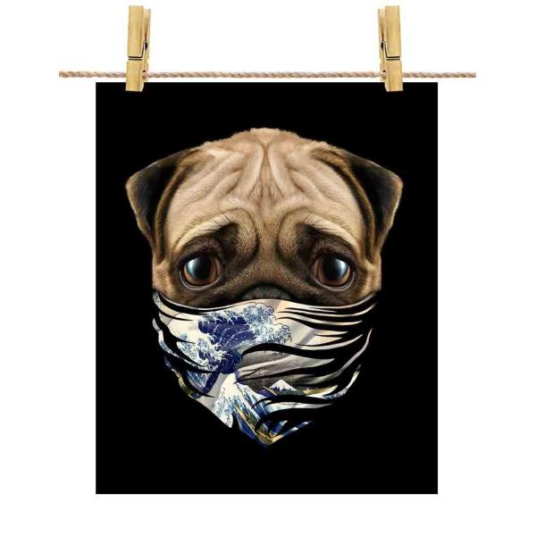 y킢pO hbO   G o_iz|X^[@A3TCY by Fox Republic