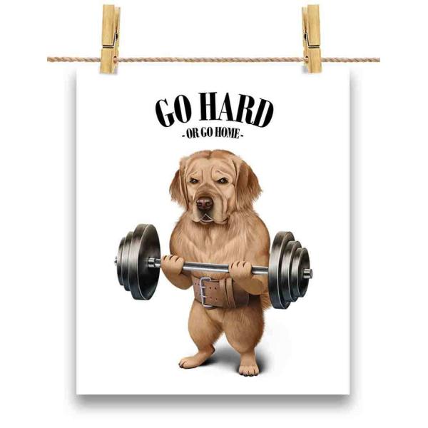 |X^[ A3 S[fgo[   ؃g ؓ EGCgteBO W by Fox Republic