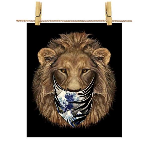 |X^[ A3 CI G o_i by Fox Republic