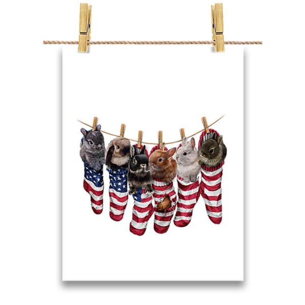 |X^[ A3 [NX}X  by Fox Republic