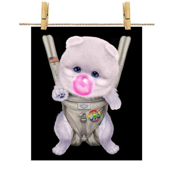 |X^[ A3  |jA     R K by Fox Republic