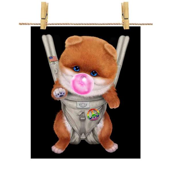 |X^[ A3 Ԗ |jA     R K by Fox Republic