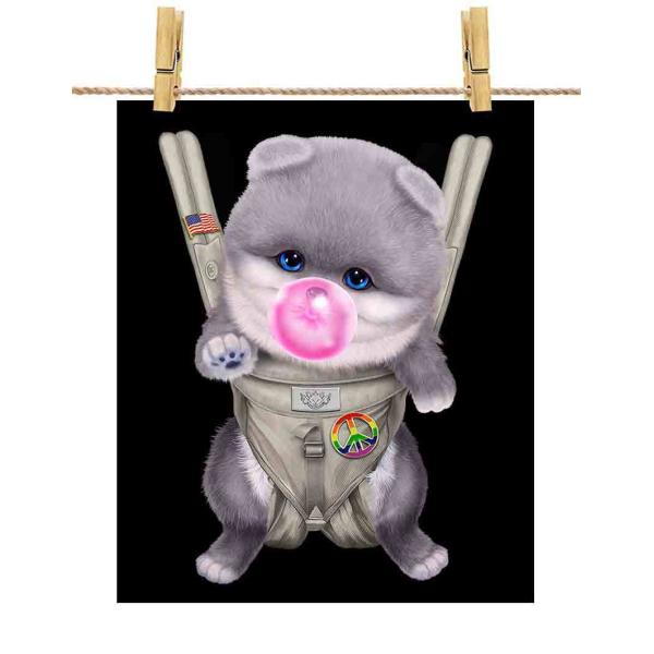 |X^[ A3 u[ |jA     R K by Fox Republic