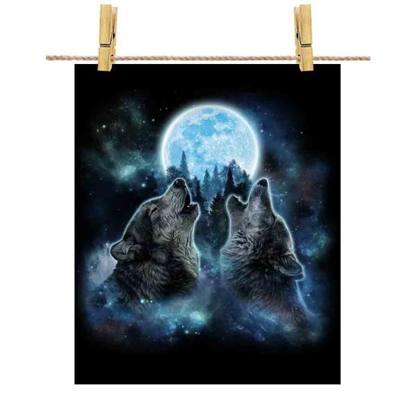 |X^[ A3   IIJ~ T by Fox Republic