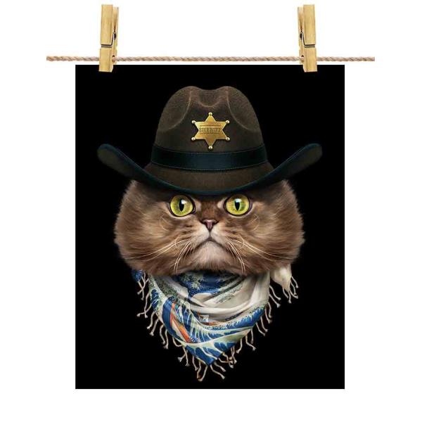 yyVL ˂ JE{[C { G o_iz|X^[@A4TCY by Fox Republic