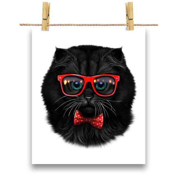 yL ˂ lN^C TOXz|X^[@A4TCY by Fox Republic