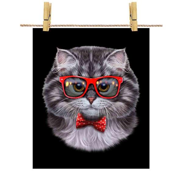 yO[ L ˂ lN^C TOXz|X^[@A4TCY by Fox Republic