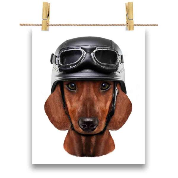foxrepublic_poster-a4-dog-das1-10