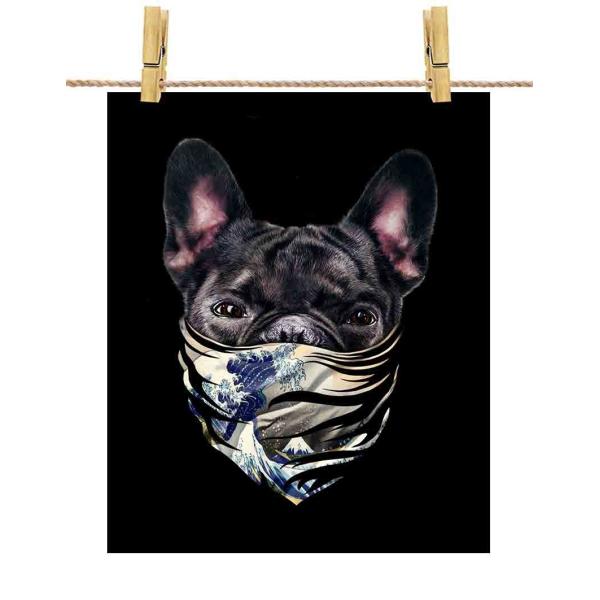 yt`uhbO hbO   G o_iz|X^[@A4TCY by Fox Republic