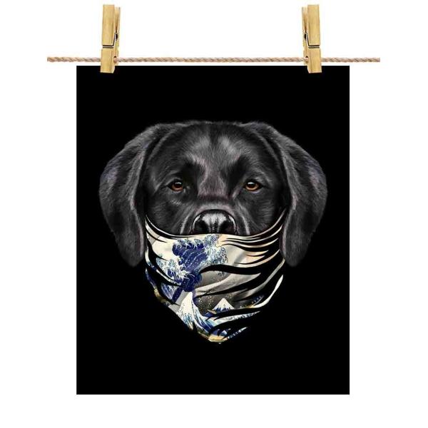 y uhgo[ hbO   G o_iz|X^[@A4TCY by Fox Republic